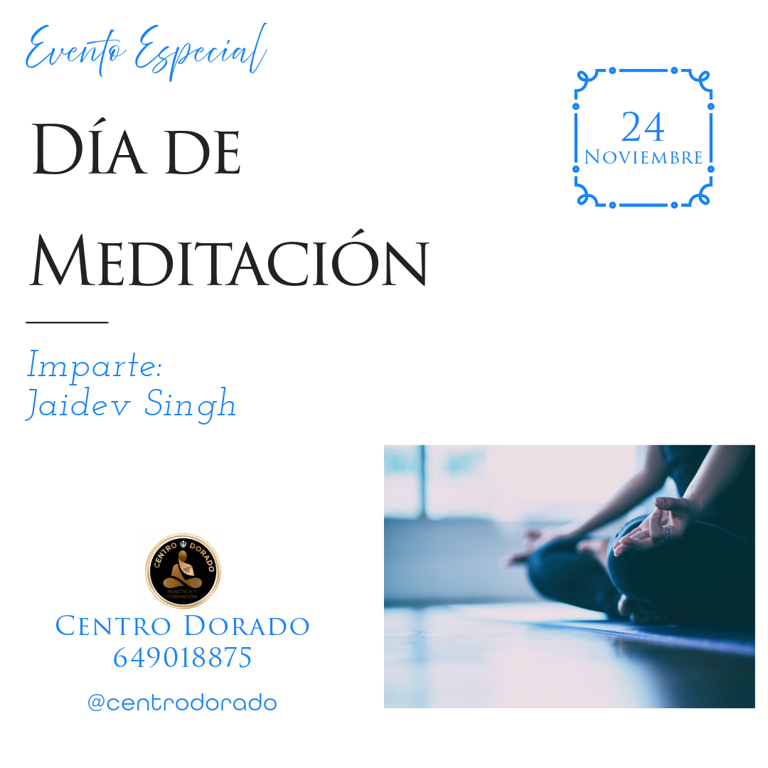 Dia Meditaciónn 24 11 24